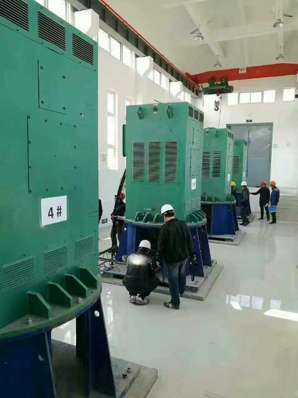 洪江某污水处理厂使用我厂的立式高压电机安装现场现货销售